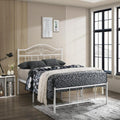Dove Curve Queen Bed Frame (White)
